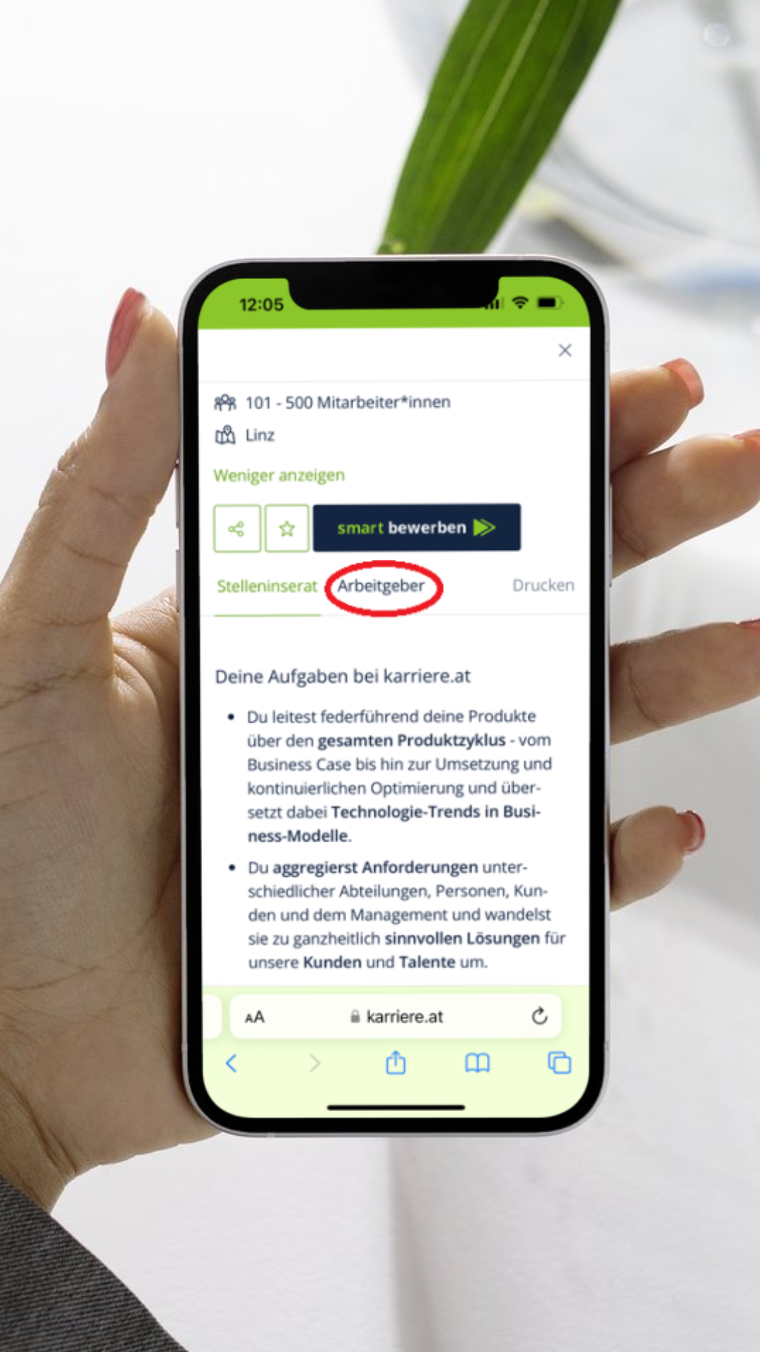 Mobile Variante von Stelleninseraten