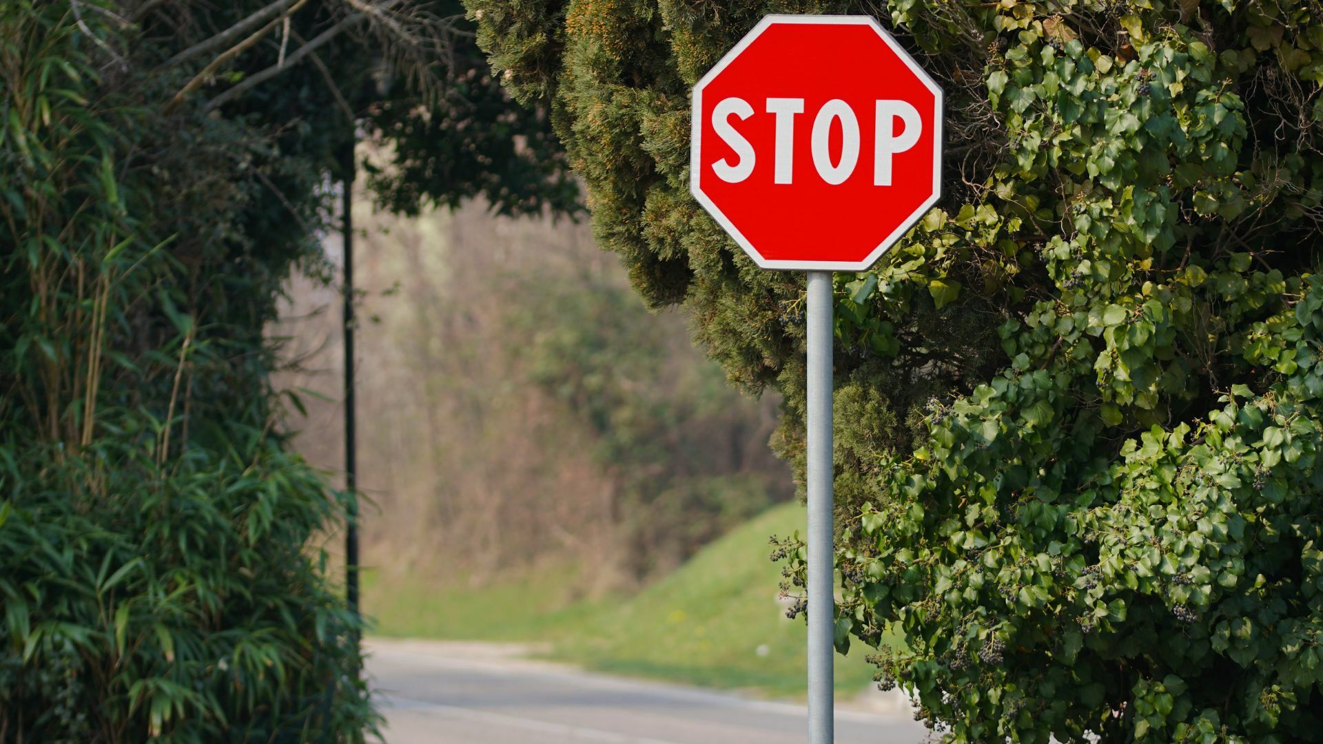 Resilienz als Stoppschild